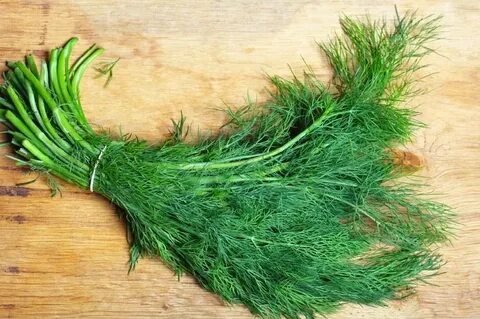 قیمت خرید سبزی شوید خشک صادراتی + فروش سریع